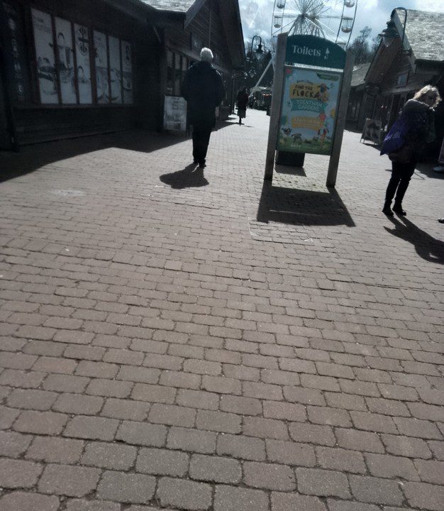 Debra’s Story: Rebuilding Confidence Through Trust, Patience, and Personalised Learning | Nisai Learning